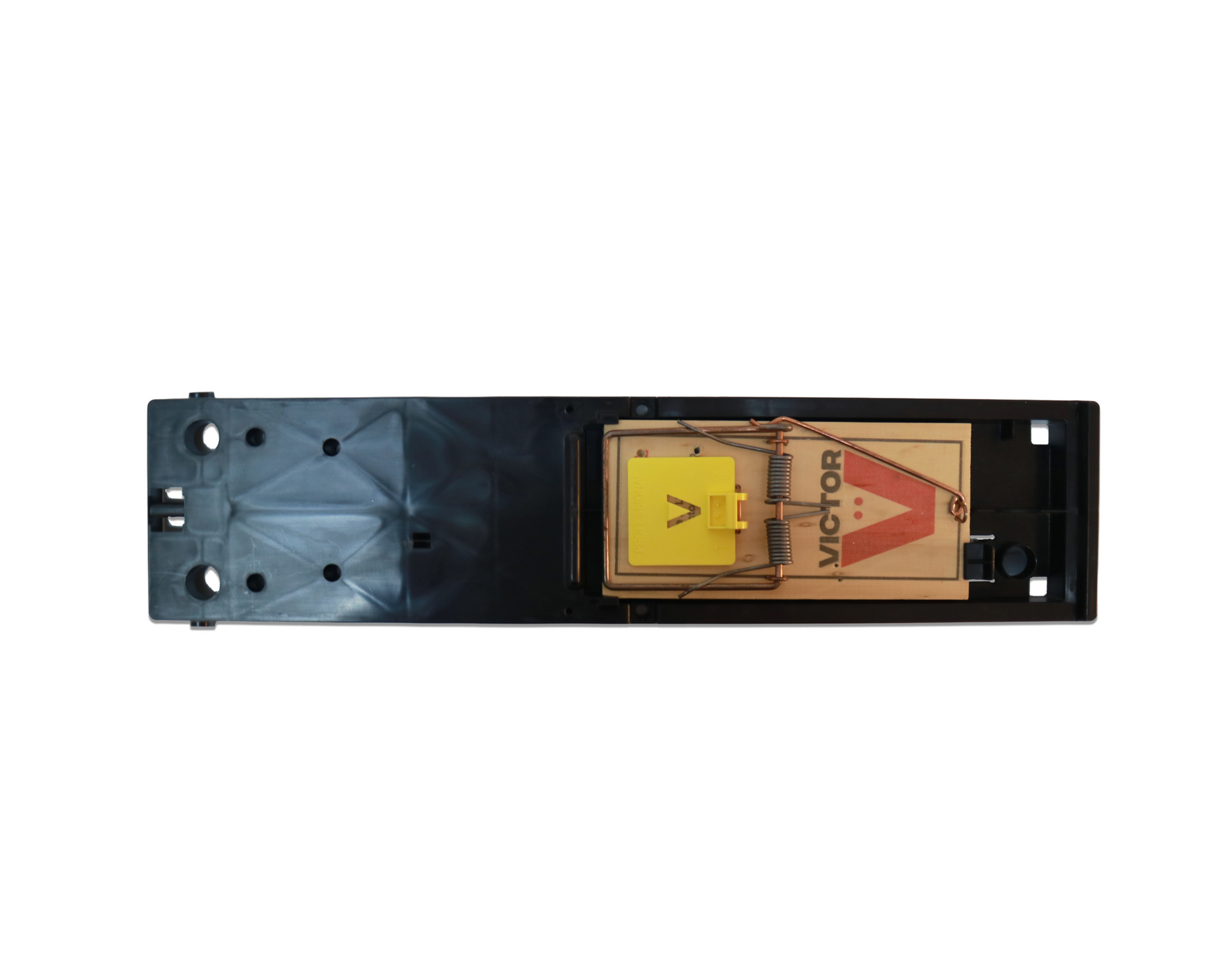 LiteBox for Rat Traps – RatTek